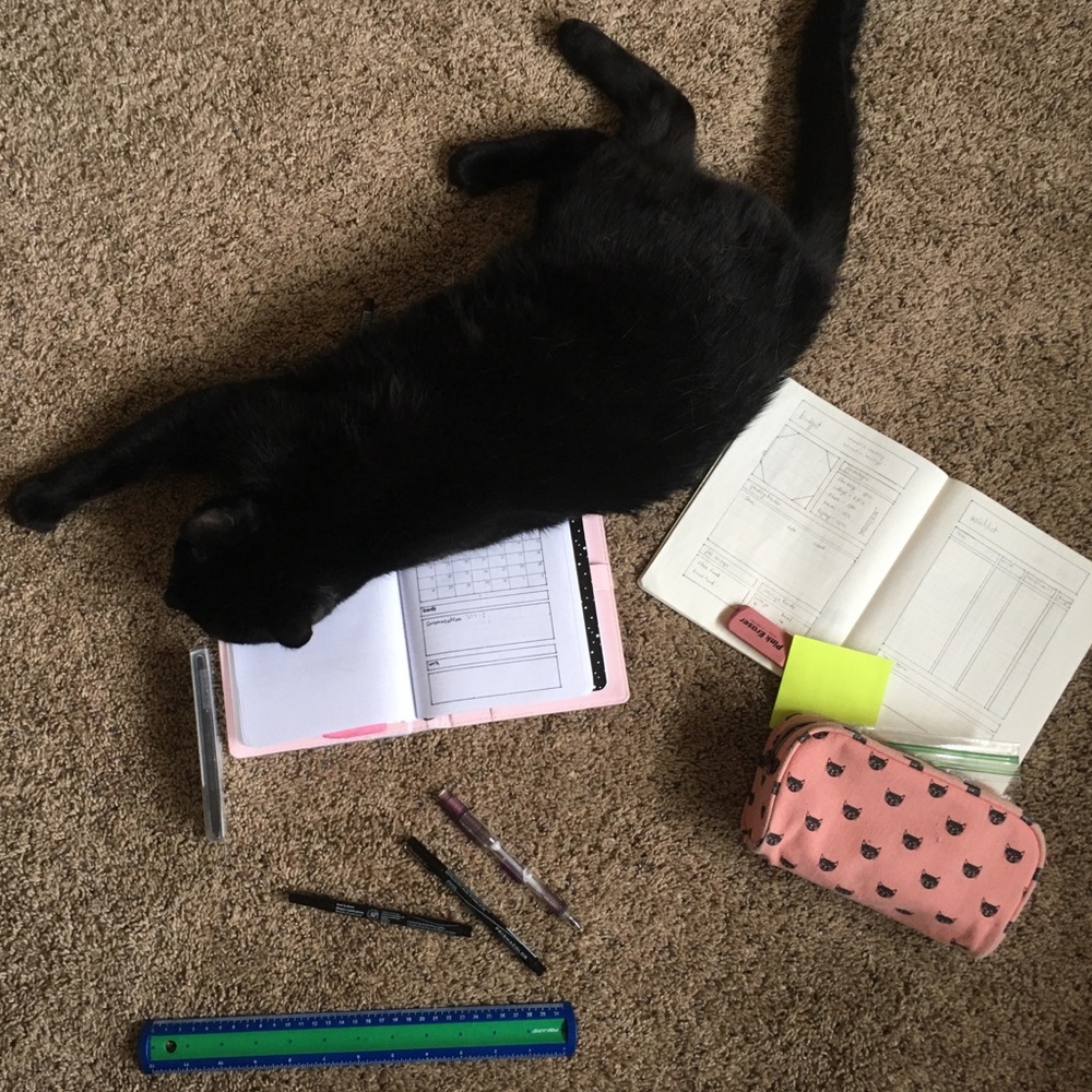 Meet your Posher, Kiki